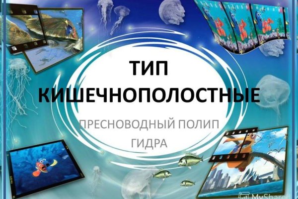 Кракен сайт сегодня