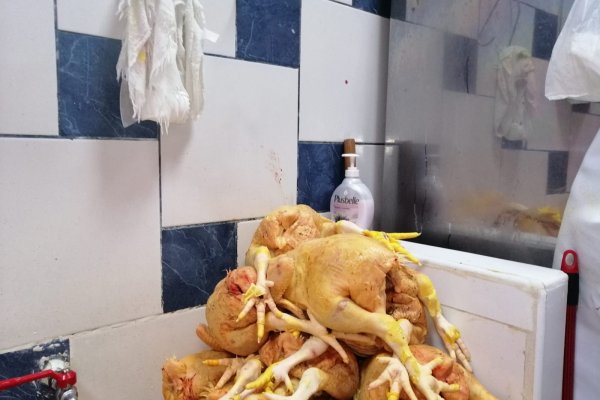 Кракен ссылку где