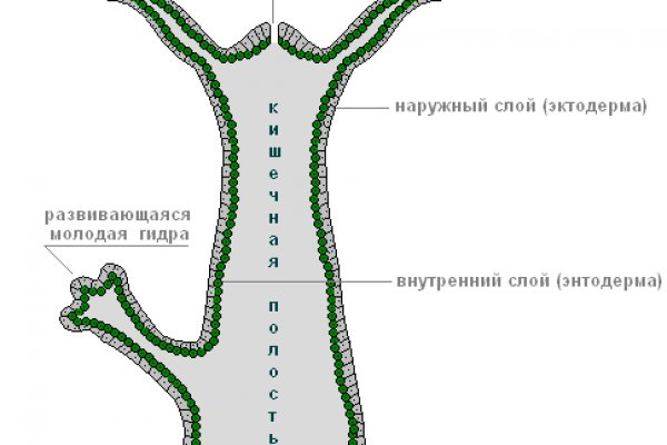 Кракен перестал работать